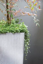 Saksija Rato Square S 265