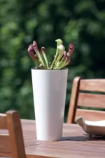 SAKSIJA TUBUS SLIM SHINE S300S - Slika 2