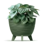 Saksija Furu R300 - Slika 3