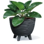 Saksija Furu R300 - Slika 2