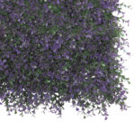 ZELENI ZID LAVANDA 1X1 2017257