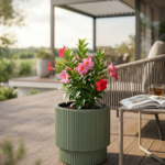 SAKSIJA MILLY ROUND N200