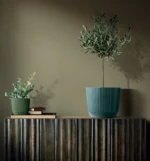 SAKSIJA RYFO F150 - Slika 2