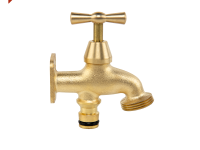 1408225 bastenski program