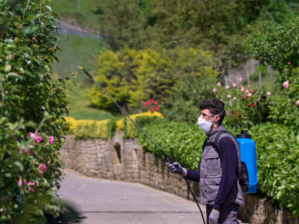 Makaze Stocker A.381