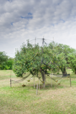 MREŽA ZA PTICE DIAMOND AS-BN2015102010 - Slika 6