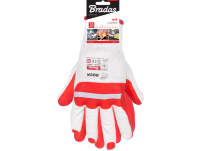 1429804 bastenski program