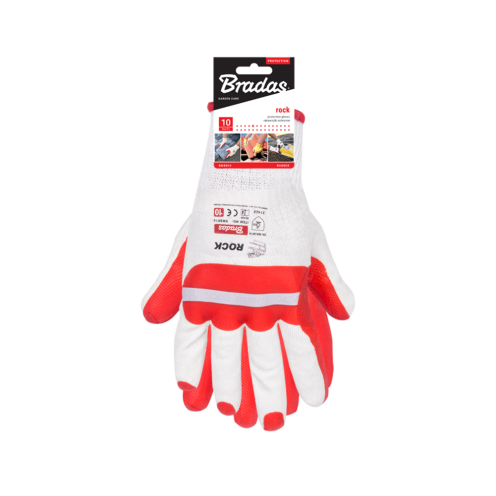 1429804 bastenski program