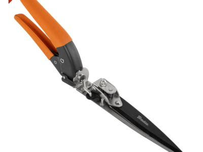 1432684 bastenski program