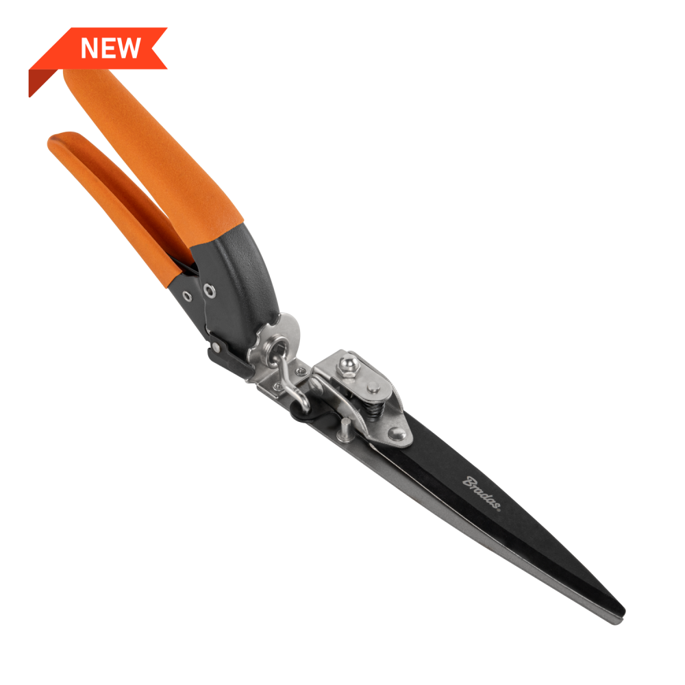 1432684 bastenski program