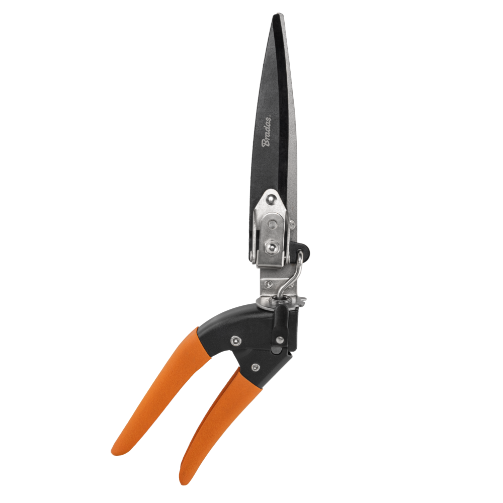 1432689 bastenski program