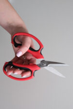 MAKAZE DUE CIGNI ZA REZANO CVEĆE 379/19 - Slika 2