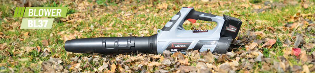 bl37 banner eng bastenski program