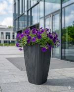 SAKSIJA ORO SQUARE DHOS - Slika 3