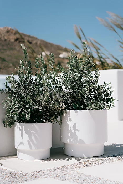 Početna 11 alat za orezivanje-bastenski program Heos DBHEN DLHEN DBHER S449 aranz 06 bastenski program