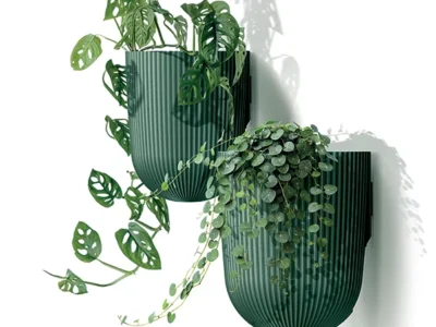 Milly Wall DMIW150 2411U roslina 01 bastenski program