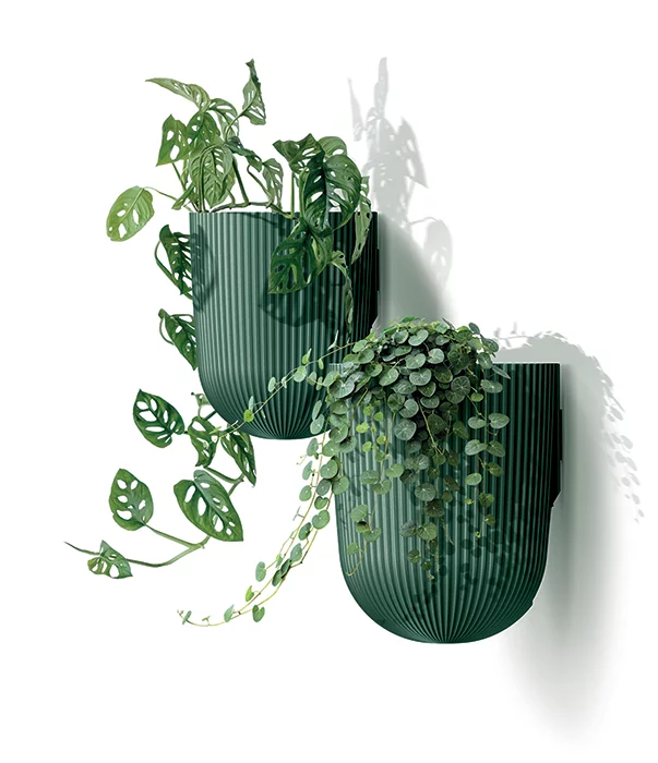 Početna 17 alat za orezivanje-bastenski program Milly Wall DMIW150 2411U roslina 01 bastenski program