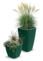 SAKSIJA ORO SQUARE DHOS - Slika 2