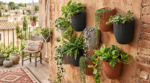 SAKSIJA MILLY WALL DMIW150 - Slika 3
