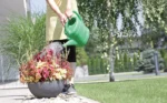KANTA ZA ZALIVANJE SPRING - Slika 3